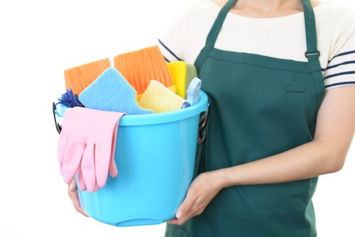Professional cleaning company service for Belgravia homes