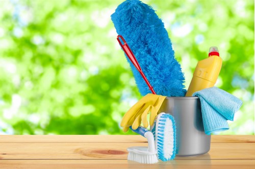 Professional end of tenancy cleaning in a Belgravia property