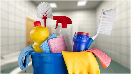 Belgravia Cleaners modern slavery statement introduction