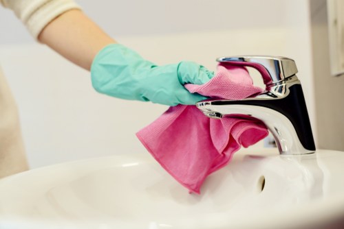 Premium Belgravia cleaning company property care