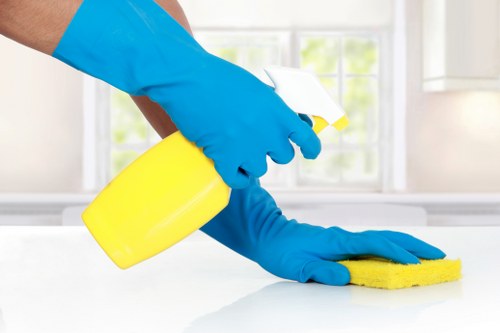 Specialist cleaning solutions for Belgravia residences