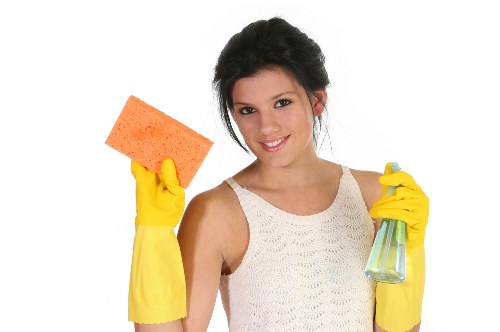 Kitchen appliance cleaning service in Belgravia