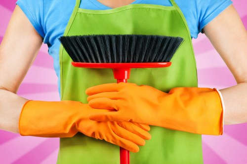 Professional cleaning for a Belgravia apartment