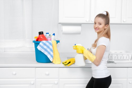 Professional deep cleaning in a Belgravia townhouse living room