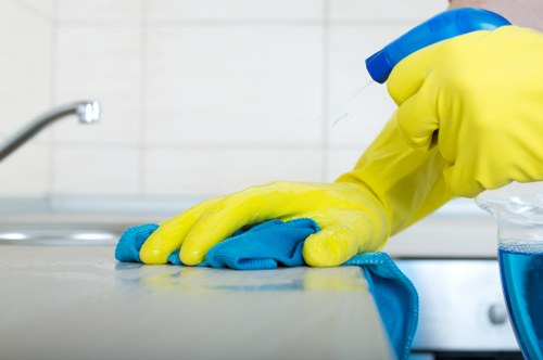 Low-carbon van supporting sustainable collections and deliveries