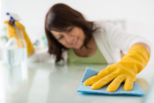 Payment security details for Belgravia Cleaners with encryption focus