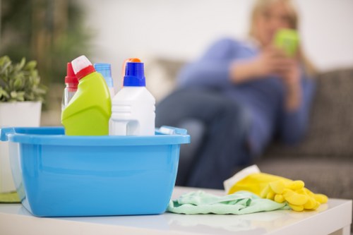 Luxury Belgravia property deep cleaning service