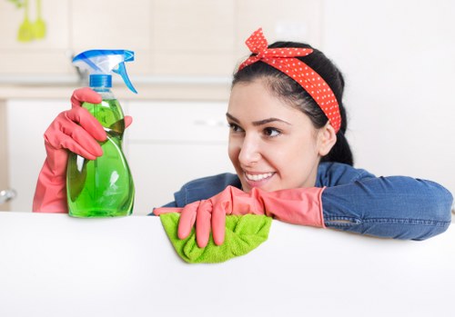 Luxury apartment deep cleaning in Belgravia